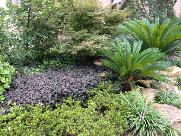 BBIN宝盈游戏集团的愿景与理念